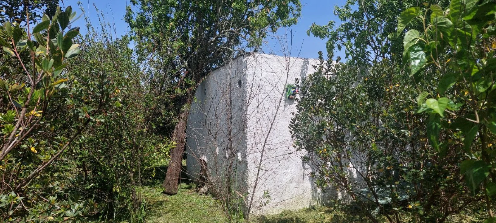 Terreno para Venda em Castro Verde Foto 45