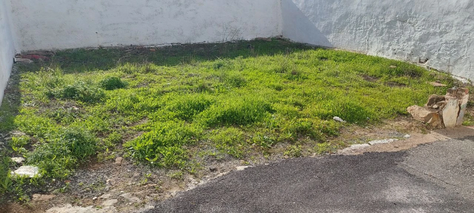 Moradia T2 para Venda em Almodôvar Foto 8