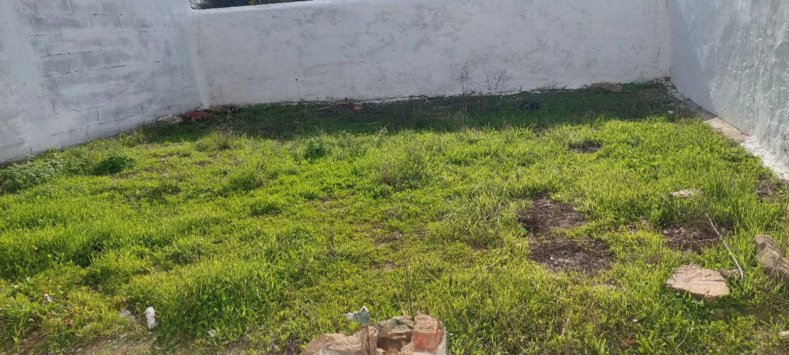 Moradia T2 para Venda em Almodôvar Foto 11