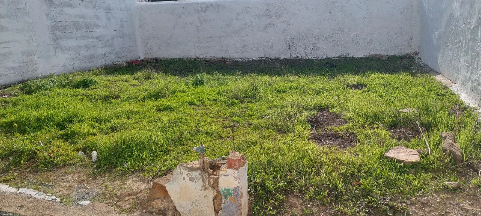 Moradia T2 para Venda em Almodôvar Foto 12