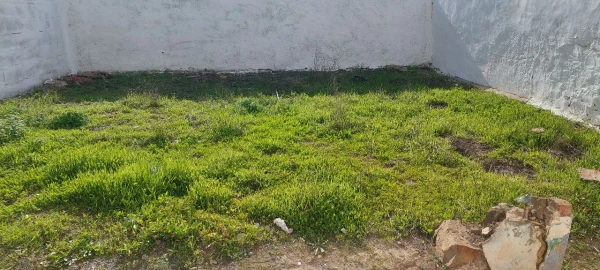Moradia T2 para Venda em Almodôvar