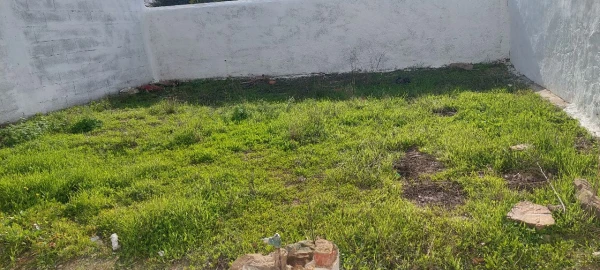 Moradia T2 para Venda em Almodôvar