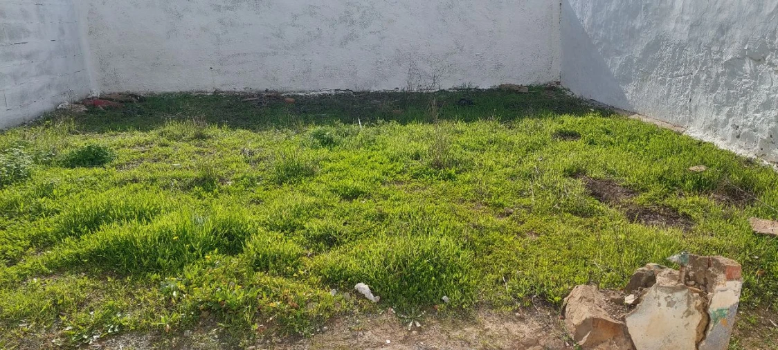 Moradia T2 para Venda em Almodôvar Foto 7