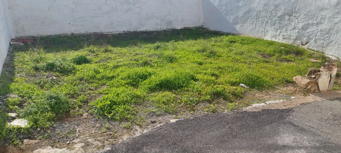 Moradia T2 para Venda em Almodôvar Foto 8