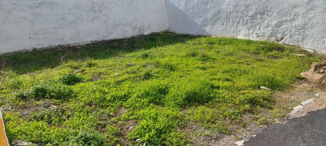 Moradia T2 para Venda em Almodôvar Foto 10