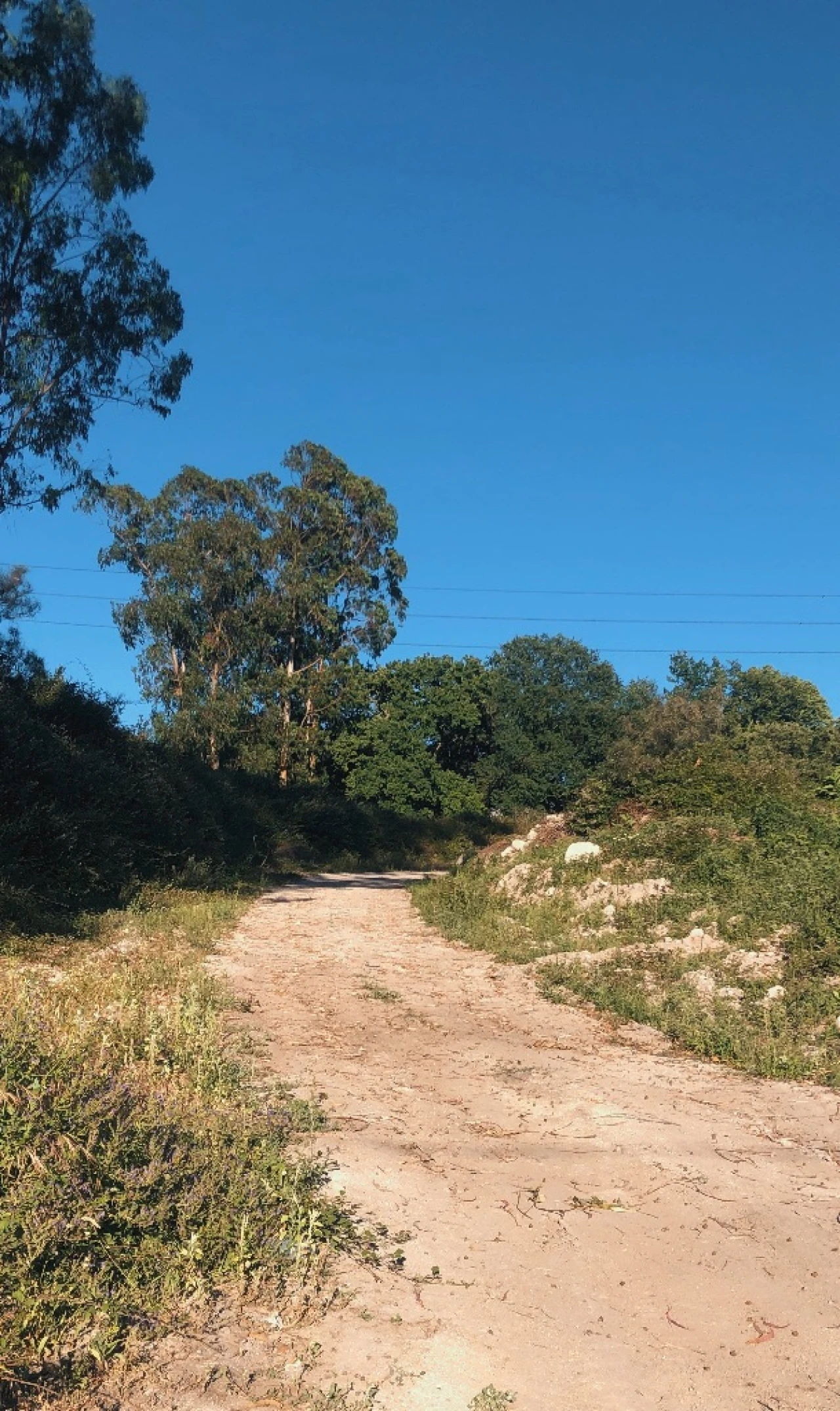 Terreno Misto para Venda em Vilela -Paredes Foto 3