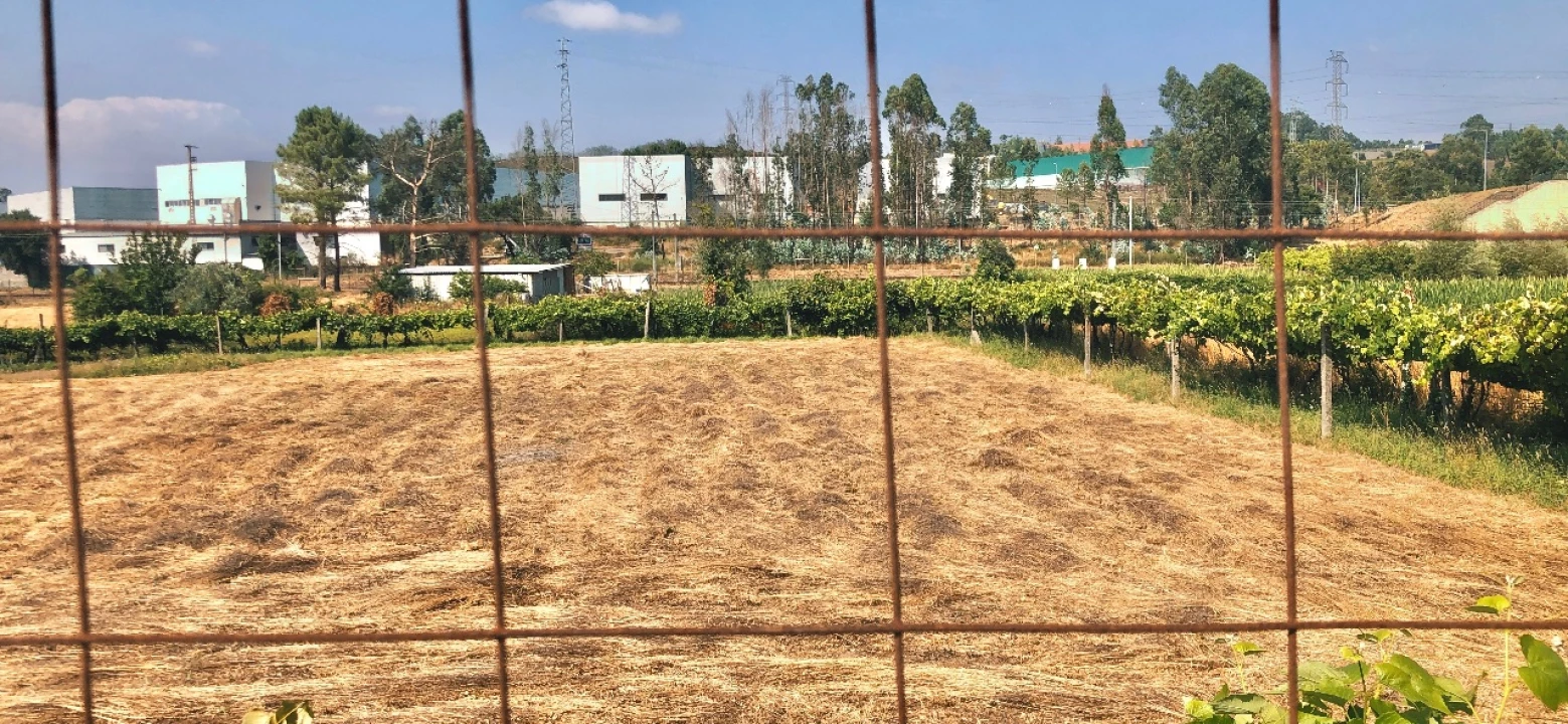 Terreno Misto para Venda em Gandra - Paredes Foto 1
