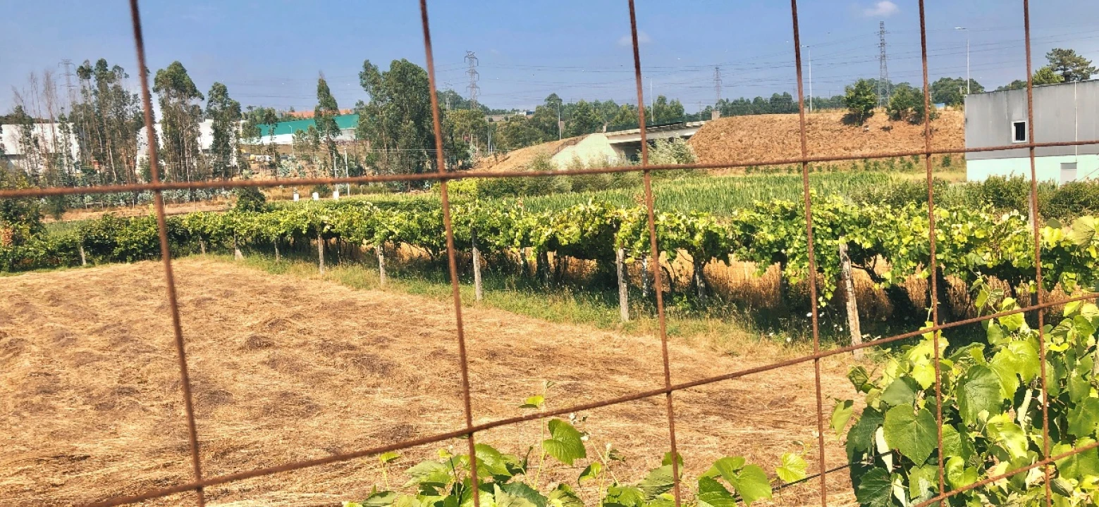 Terreno Misto para Venda em Gandra - Paredes Foto 3