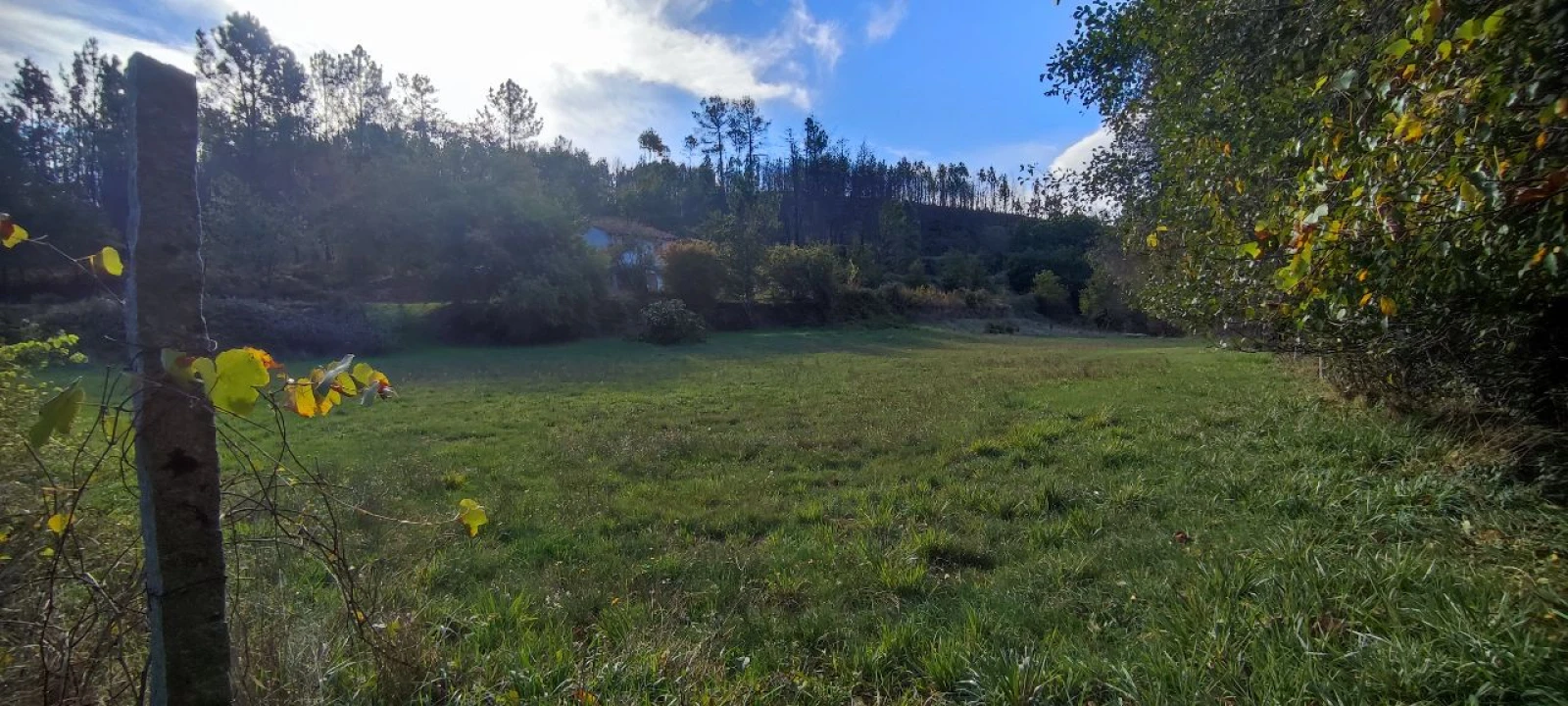Moradia T2 para Venda em Granja (Castro Daire) Foto 10