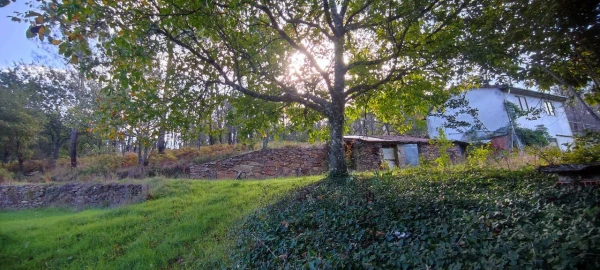 Moradia T2 para Venda em Granja (Castro Daire)