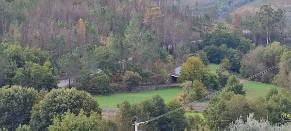 Moradia T2 para Venda em Granja (Castro Daire)
