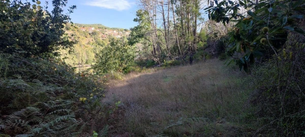 Moradia T2 para Venda em Granja (Castro Daire)