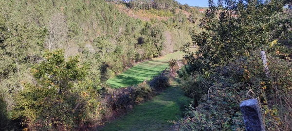 Moradia T2 para Venda em Granja (Castro Daire)