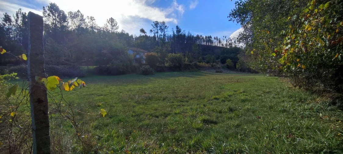 Moradia T2 para Venda em Granja (Castro Daire) Foto 10