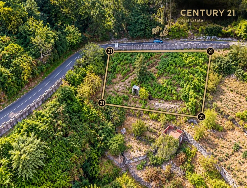 Terreno para Venda em Estr. do Pomar Novo Foto 2
