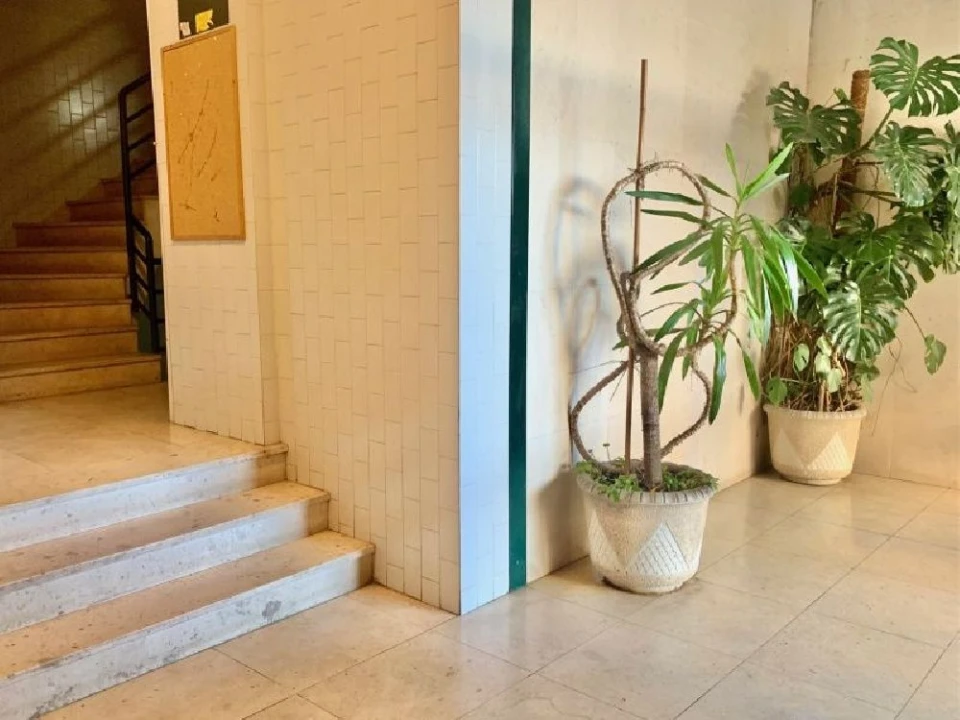 Apartamento T3 para Arrendamento em Porto Foto 5