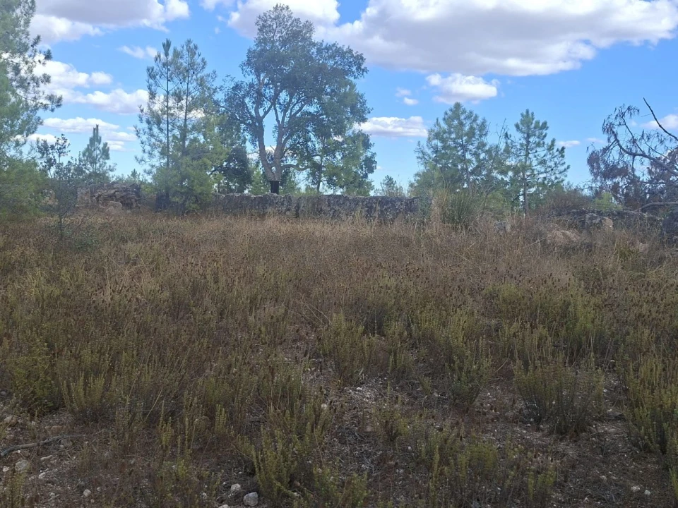 Terreno para Venda em Tapada de Tamões, Lentiscais, Castelo Branco Foto 6