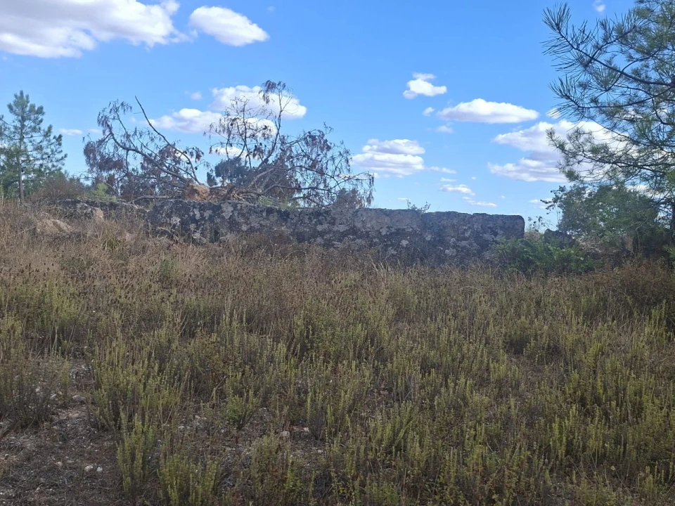 Terreno para Venda em Tapada de Tamões, Lentiscais, Castelo Branco Foto 7