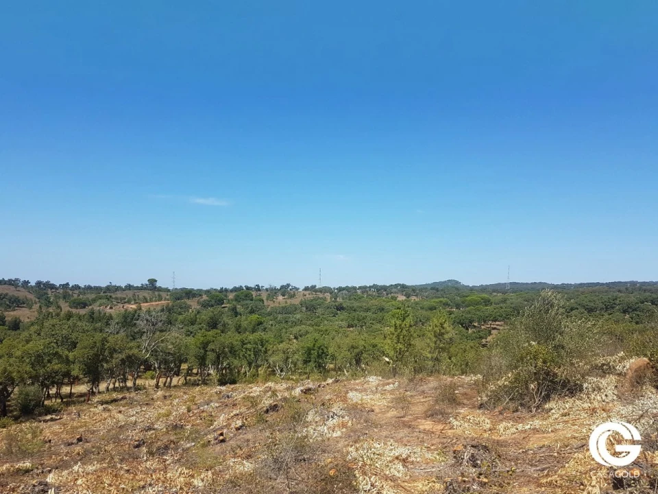 Terreno para Venda em Relvas Verdes Foto 11