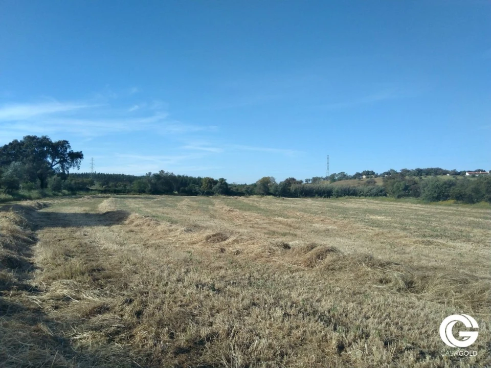 Terreno Misto para Venda em Carneirinhos Foto 10