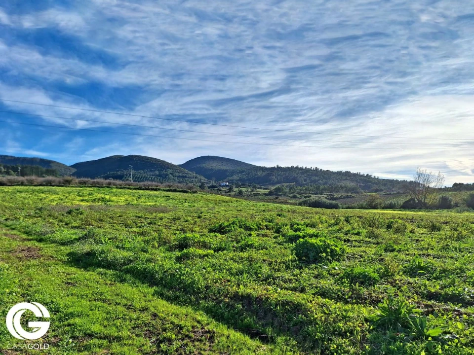 Terreno para Venda em Correeira Foto 10