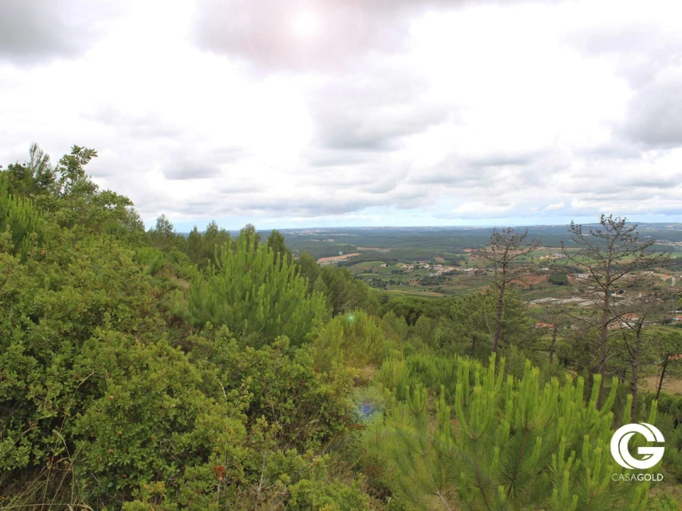 Terreno para Venda em Pragança Foto 29