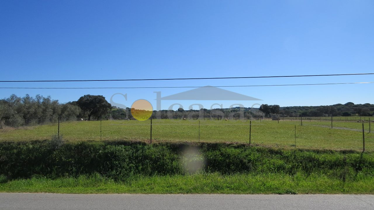 Terreno Misto para Venda em Santa Catarina Foto 2