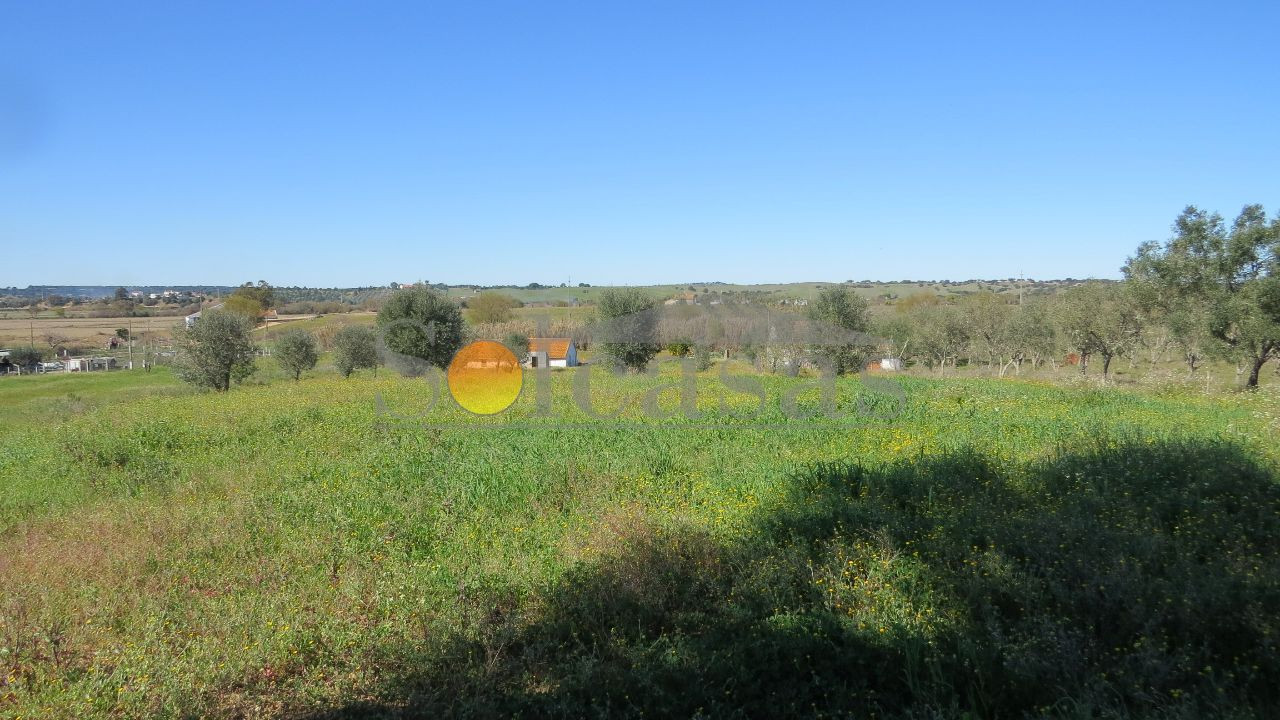 Terreno Misto para Venda em Santa Catarina Foto 5
