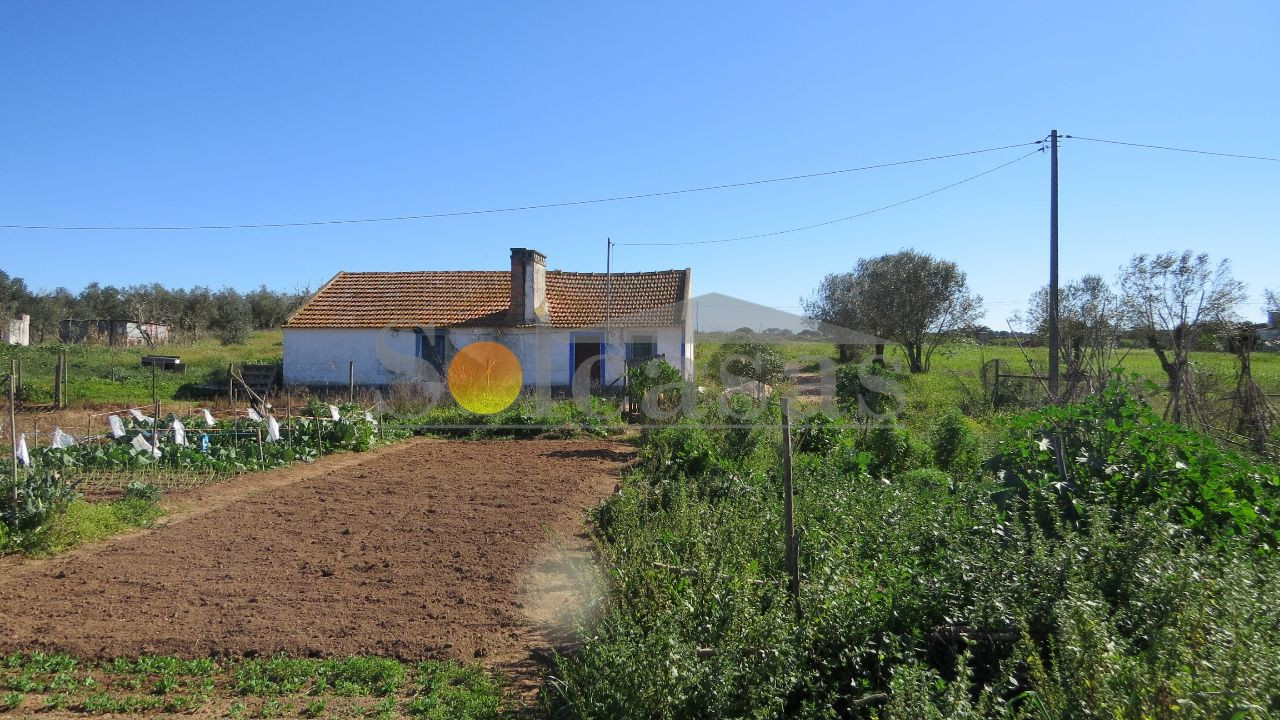 Terreno Misto para Venda em Santa Catarina Foto 13