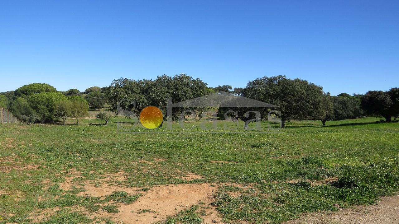 Terreno Misto para Venda em Santa Catarina Foto 14