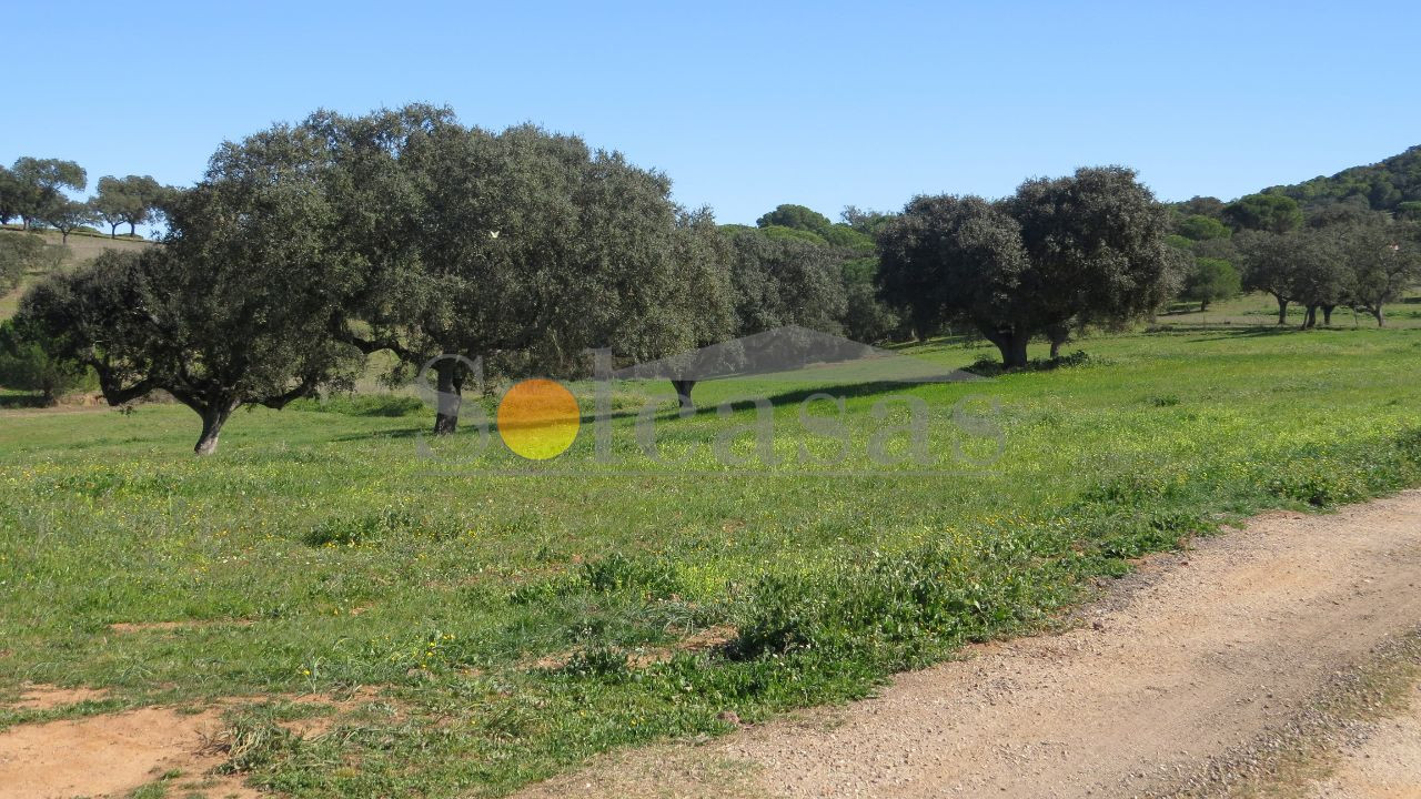 Terreno Misto para Venda em Santa Catarina Foto 16