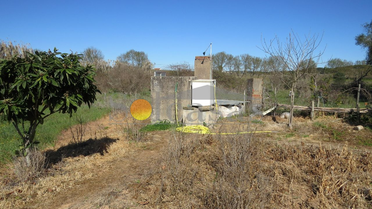 Terreno Misto para Venda em Santa Catarina Foto 17