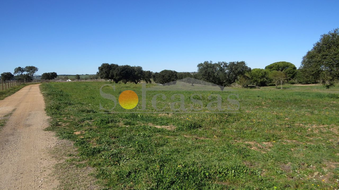Terreno Misto para Venda em Santa Catarina Foto 18