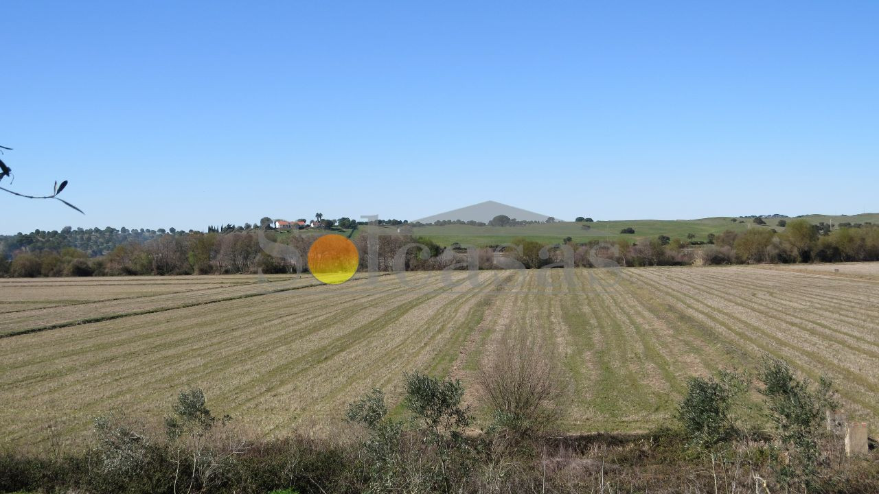 Terreno Misto para Venda em Santa Catarina Foto 21