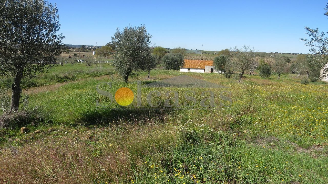 Terreno Misto para Venda em Santa Catarina Foto 1