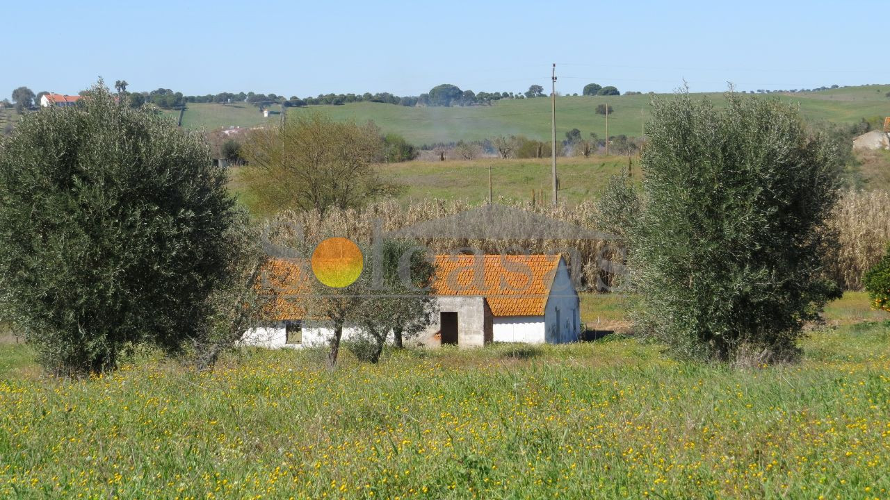 Terreno Misto para Venda em Santa Catarina Foto 22
