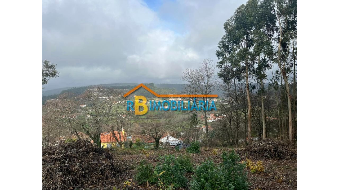 Terreno para Venda em Arouca Foto 5