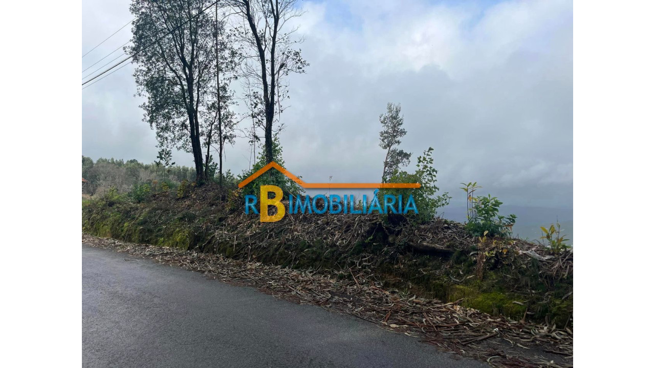 Terreno para Venda em Arouca Foto 6
