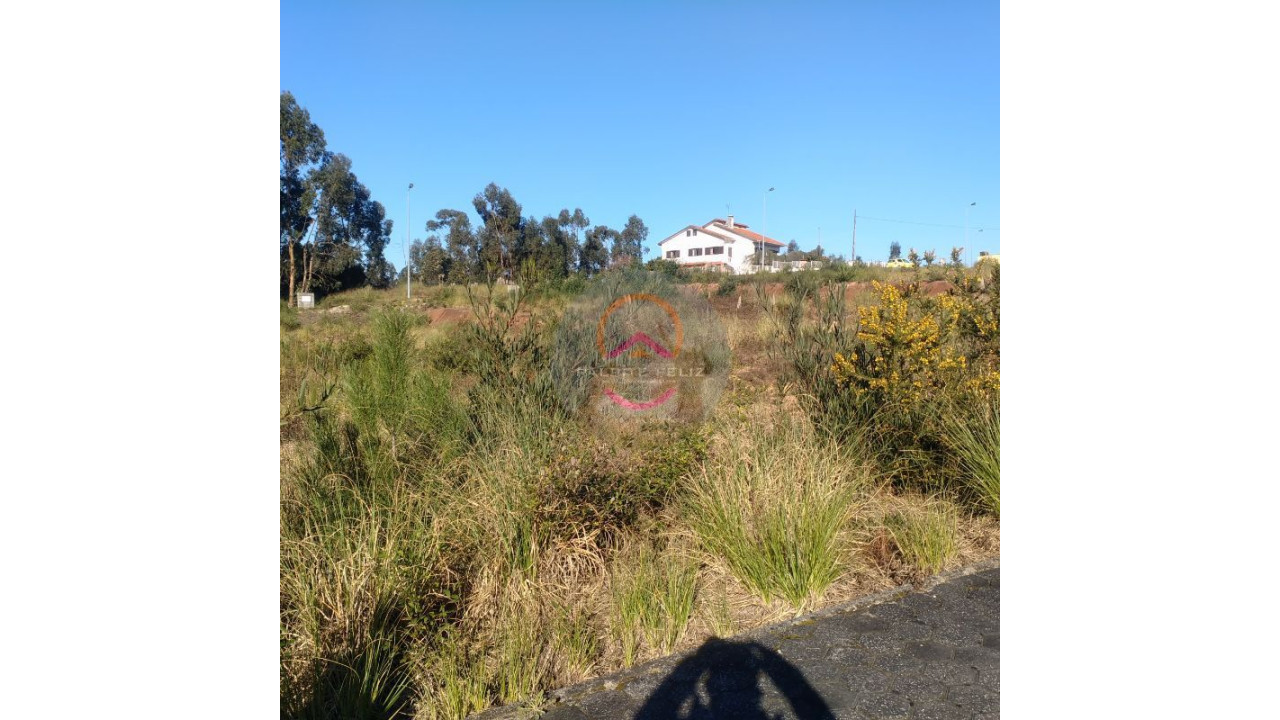Terreno P/ Moradia para Venda em Ílhavo Foto 6