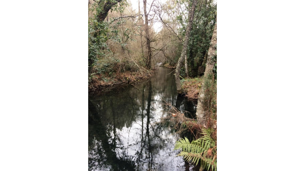 Moradia para Venda em Mega Cimeira Foto 14