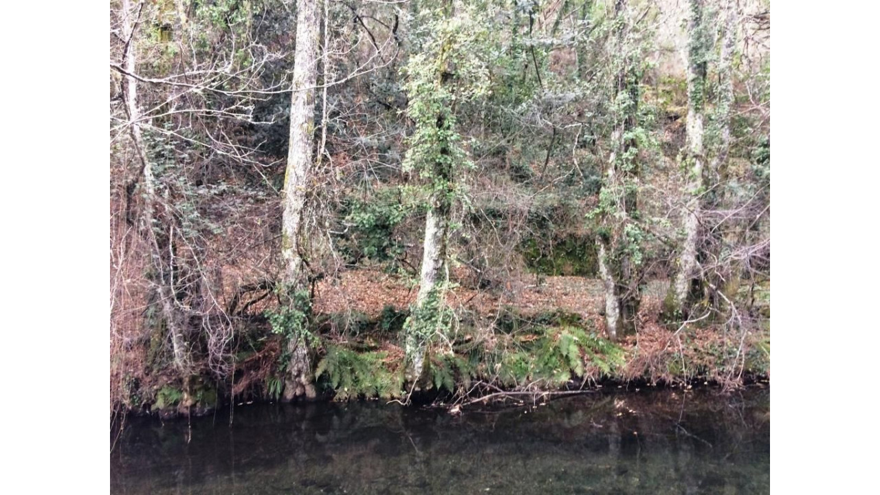 Moradia para Venda em Mega Cimeira Foto 12