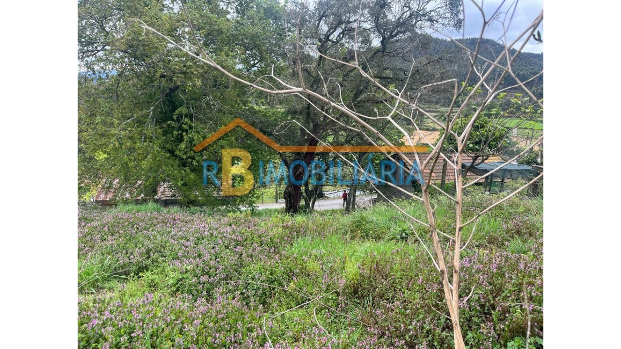 Terreno para Venda em Escariz Foto 4