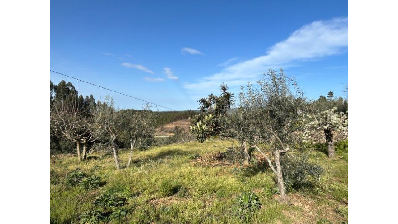 Moradia para Venda em Amoreira Fundeira Foto 15