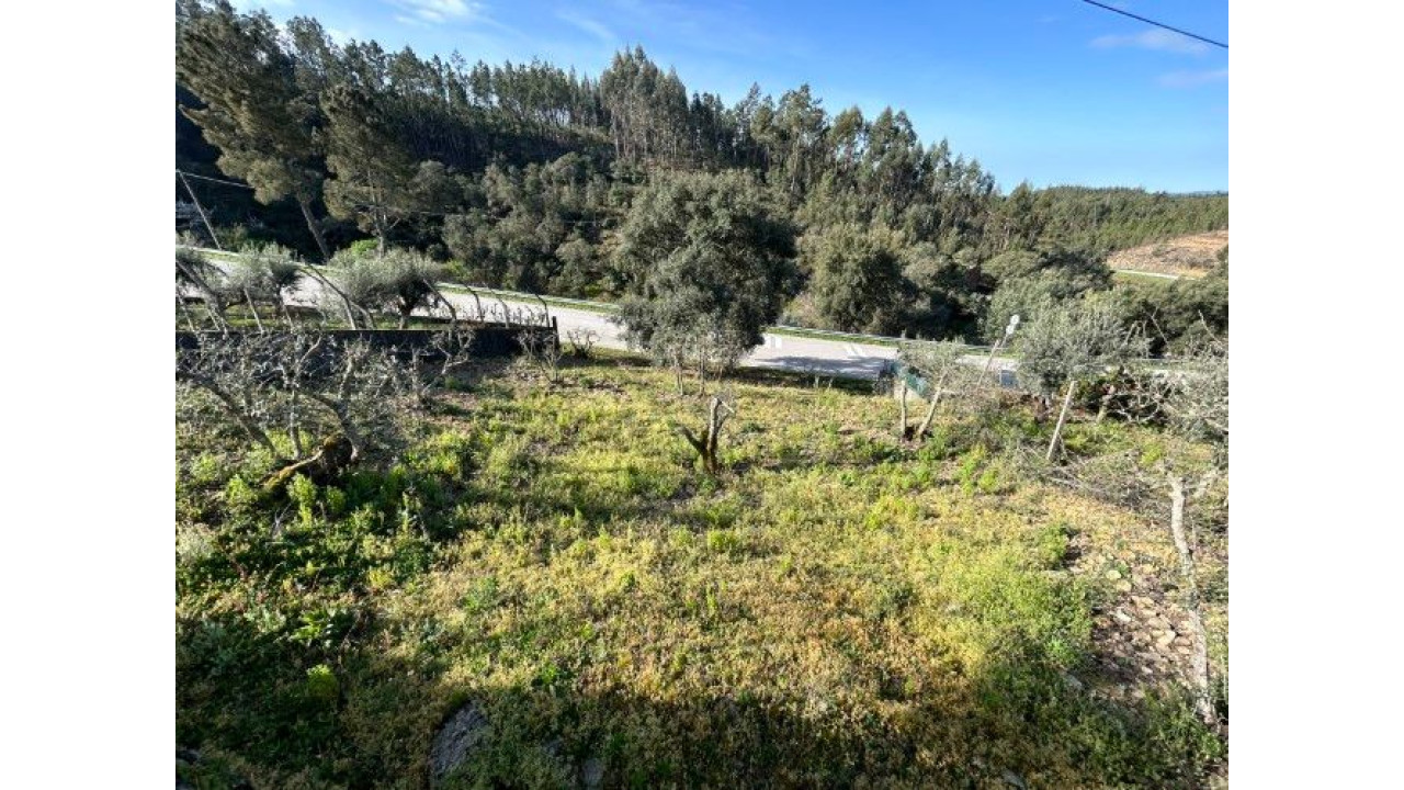 Moradia para Venda em Amoreira Fundeira Foto 13