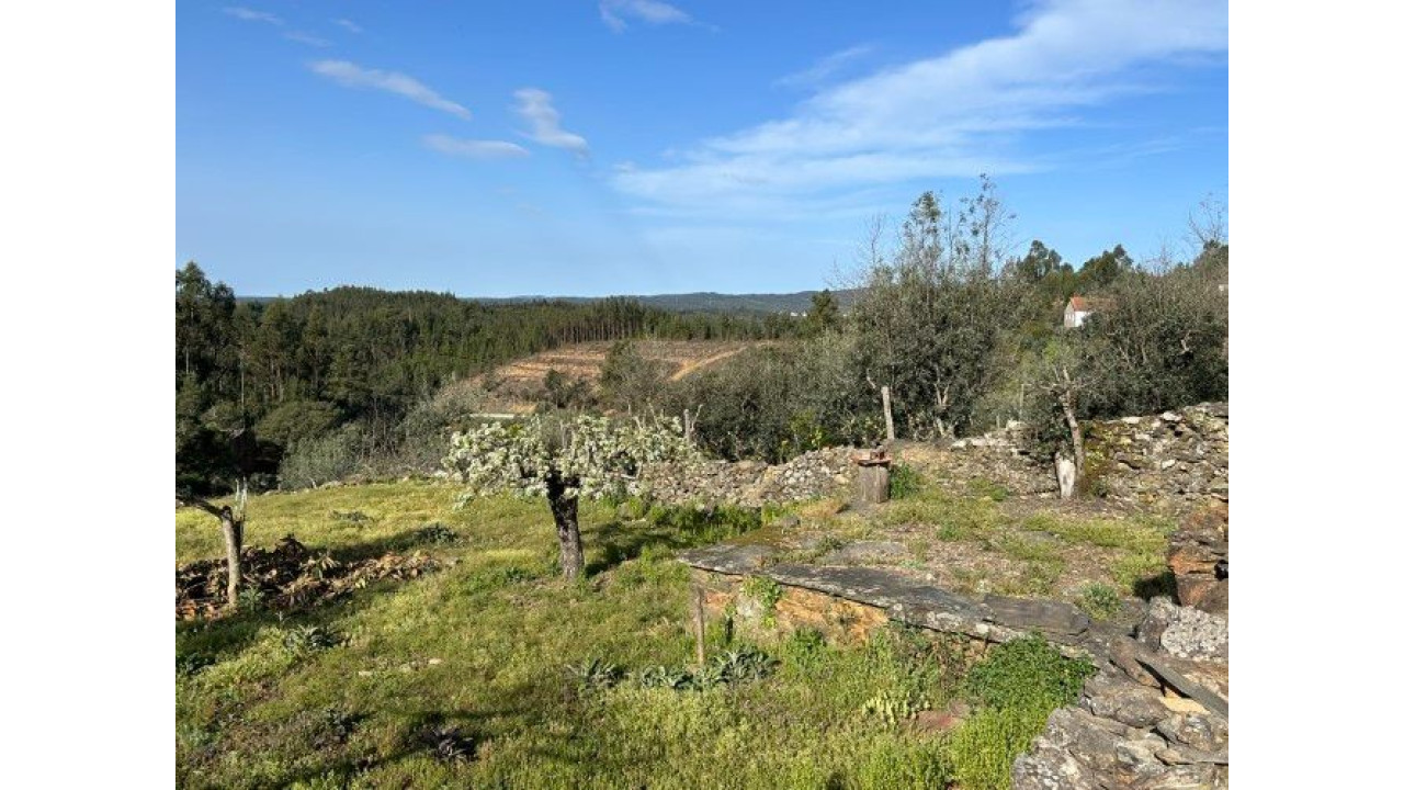 Moradia para Venda em Amoreira Fundeira Foto 14