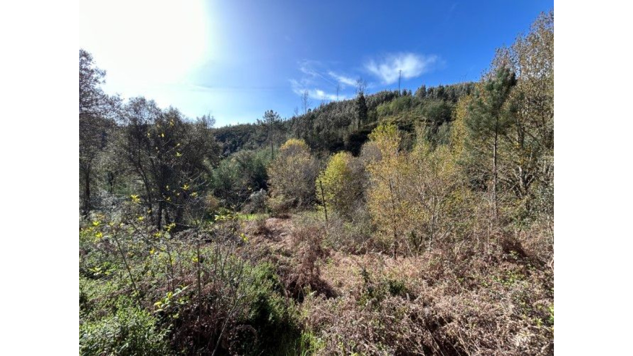 Moradia para Venda em Amoreira Fundeira Foto 19