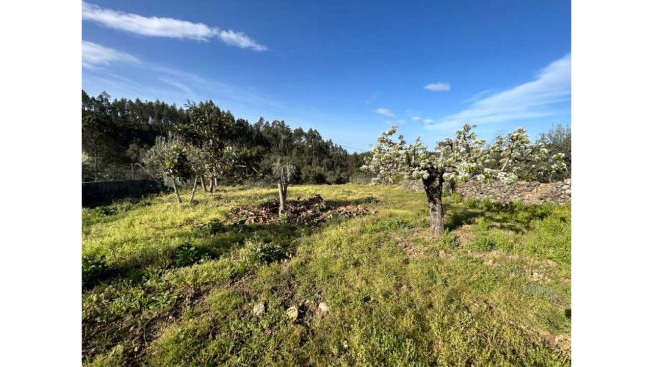 Moradia para Venda em Amoreira Fundeira Foto 20