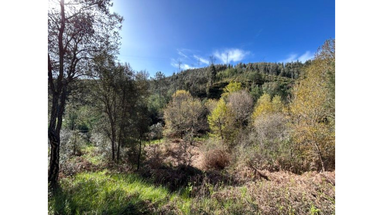 Moradia para Venda em Amoreira Fundeira Foto 18