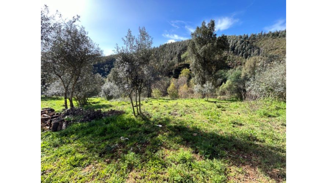 Moradia para Venda em Amoreira Fundeira Foto 21