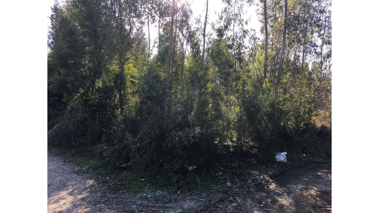 Terreno Misto para Venda em Maia Foto 2